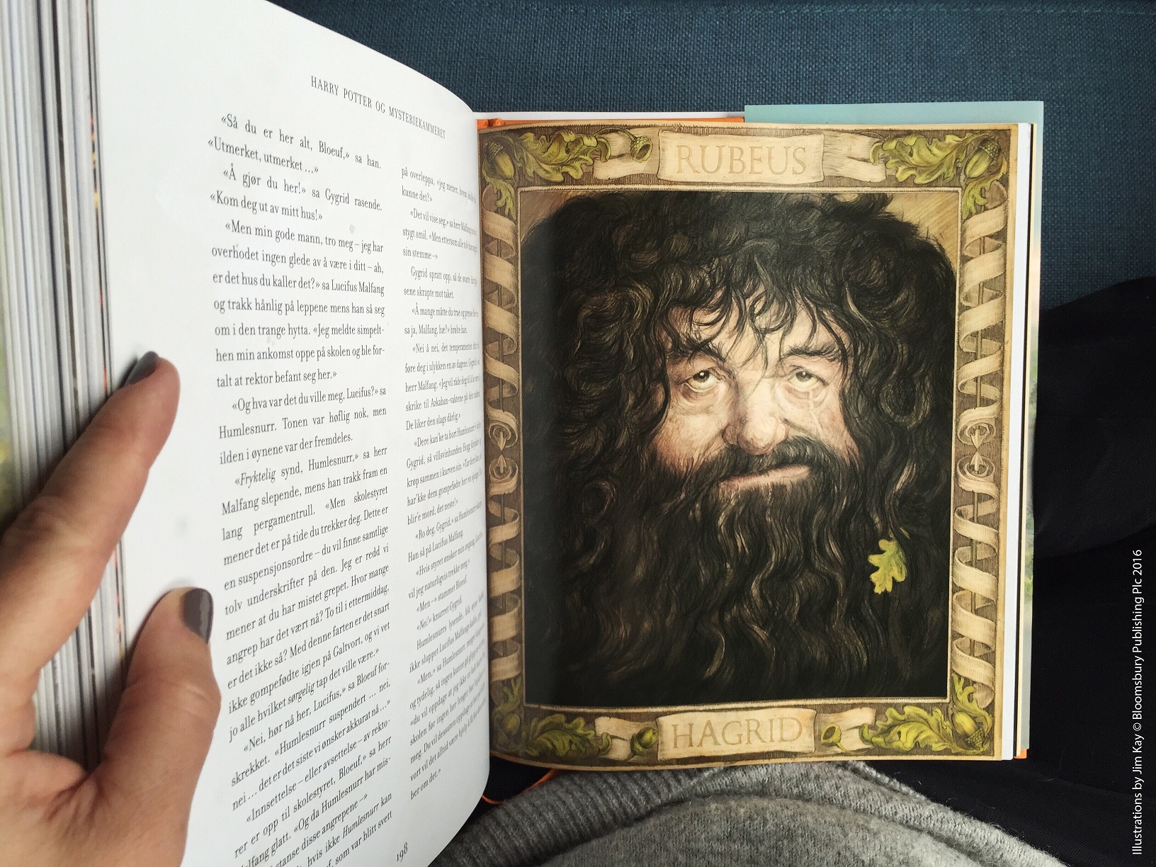 JK Rowling Harry Potter og mysteriekammeret illustrert av Jim Kay