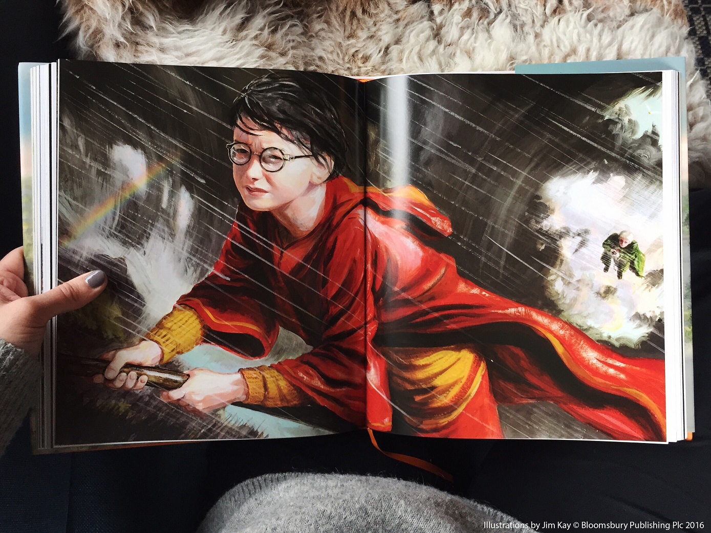 JK Rowling Harry Potter og mysteriekammeret illustrert av Jim Kay