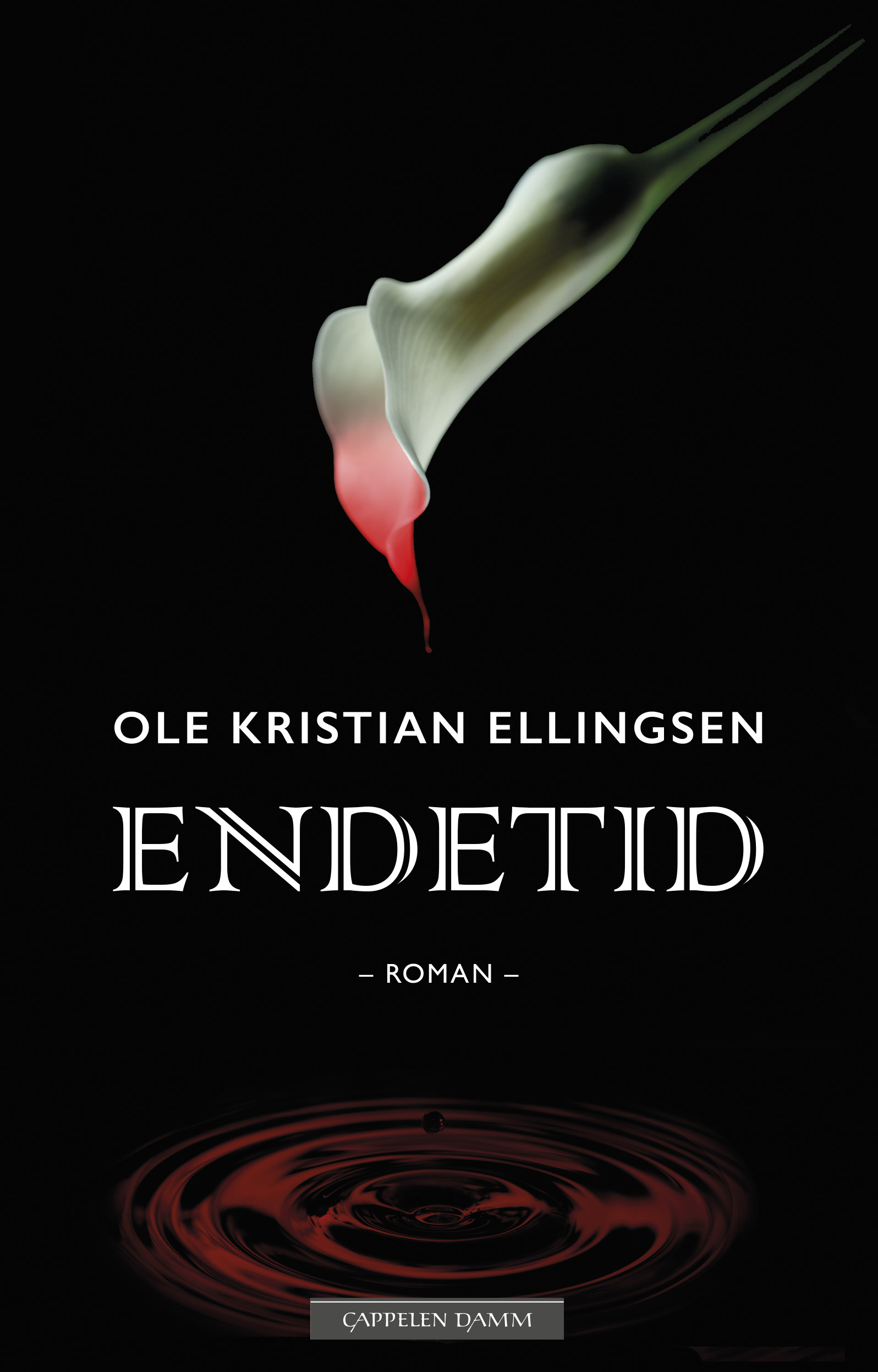 Endetid av Ole Kristian Ellingsen er en sterk og tankevekkende roman om tro, tvil og maktesløshet, løst basert på den såkalte Martine-saken