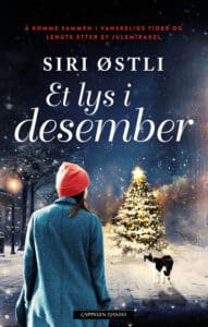 Omslaget til juleromanen "Et lys i desember"