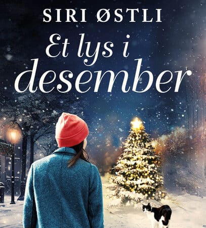 Omslaget til juleromanen "Et lys i desember"